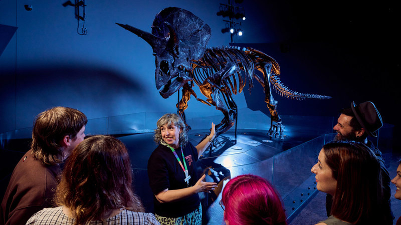 Adults smiling at a tour guide as they are shown Horridus, the most complete triceratops fossil in the world, during a torchlight tour at Melbourne Museum during Adult Museum Sleepovers.