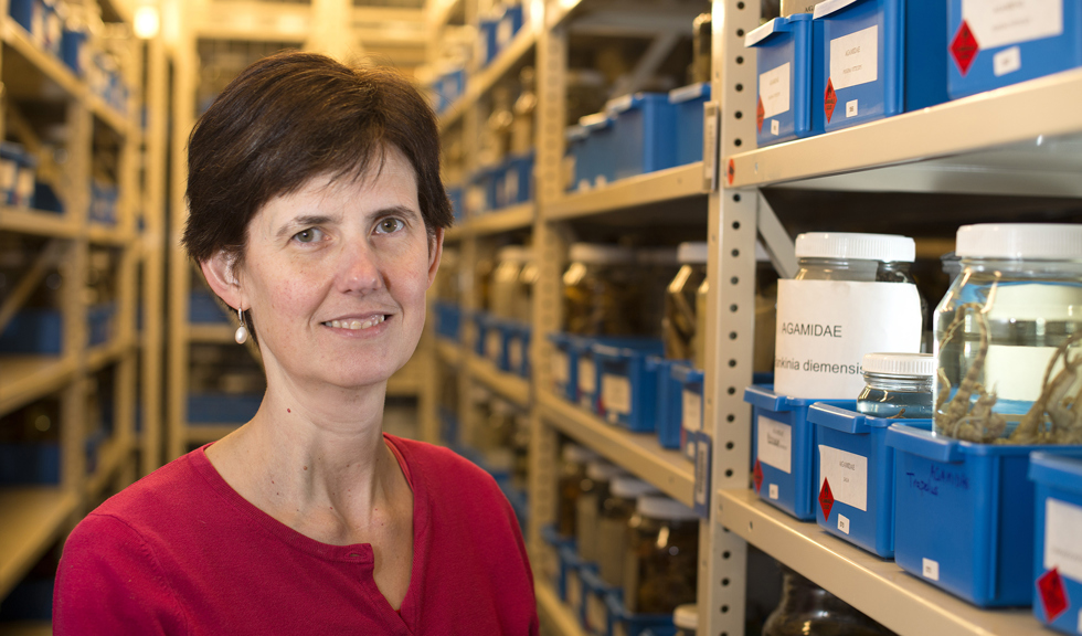 A woman in a dark room housing stacked shelves of specimen jars.