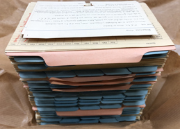 Index Cards for Butterflies of Australia (1914).