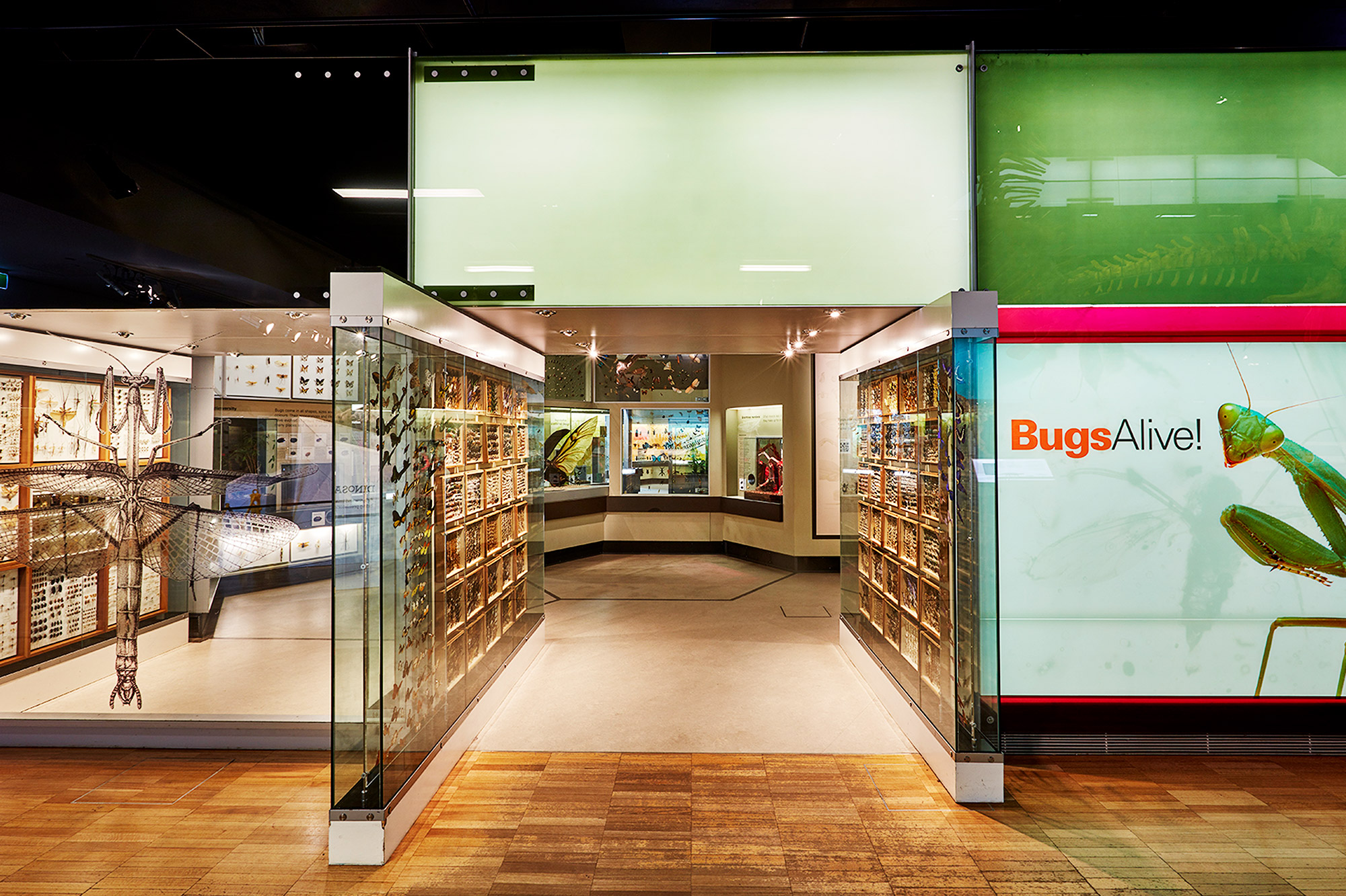 Entrance to the Bugs Alive exhibit in the Science and Life Gallery.