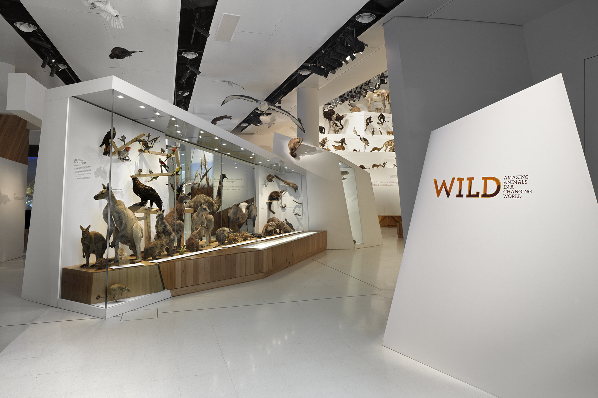View of the Wild Amazing Animals exhibition, worldwide environments.