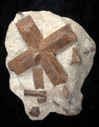 Twinned staurolite crystals