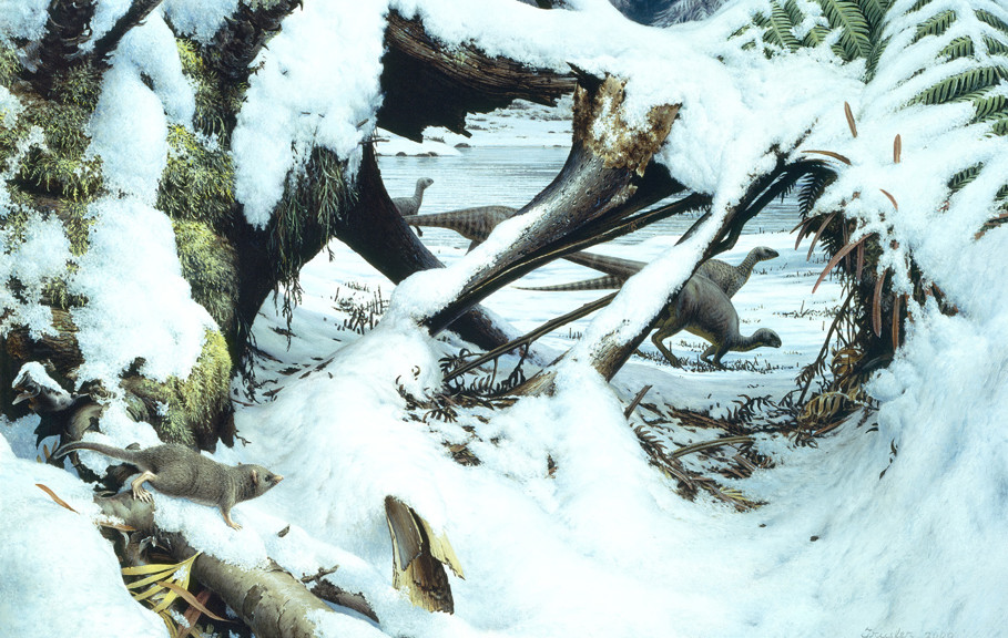 Illustration of animals in a snow covered environment