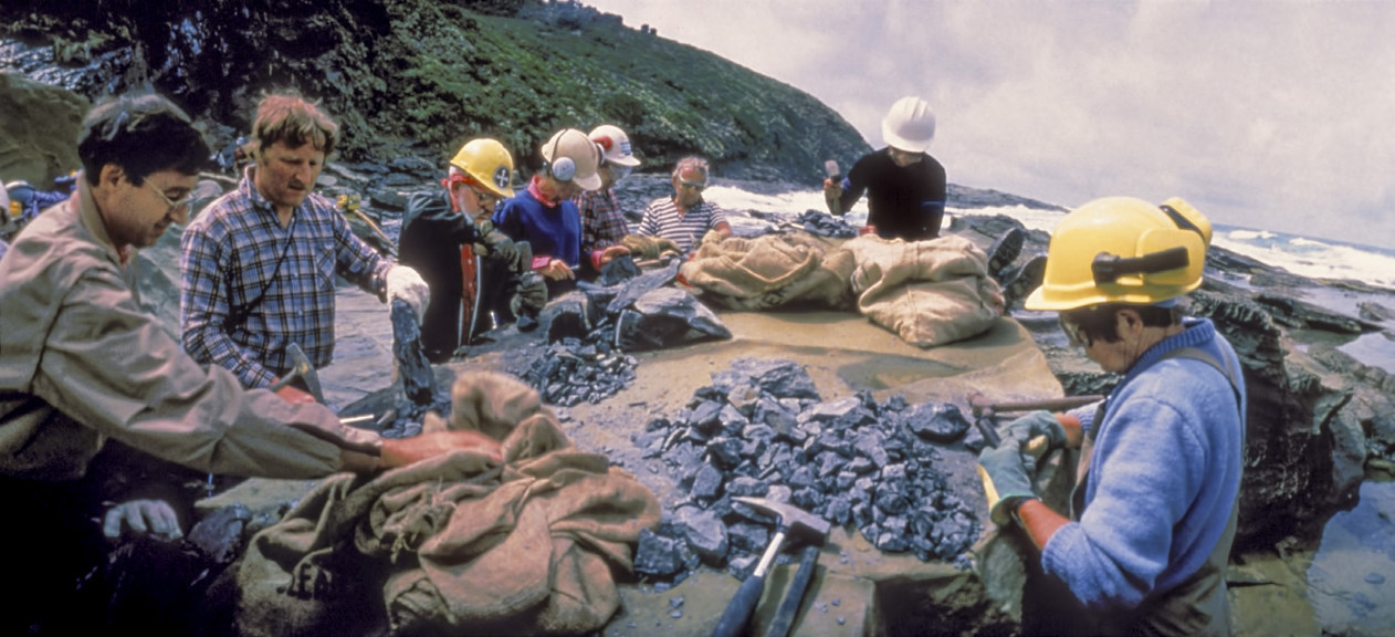 Group of people wearing hard hat using hammers to break rocks