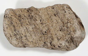 Pumice specimen