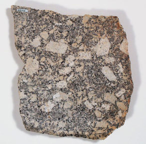 Adamellite specimen