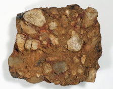 Conglomerate specimen
