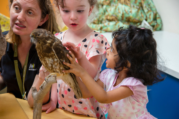 Two kindergarten children looking at an owl specimen during a visit by the Museums Victoria outreach team.