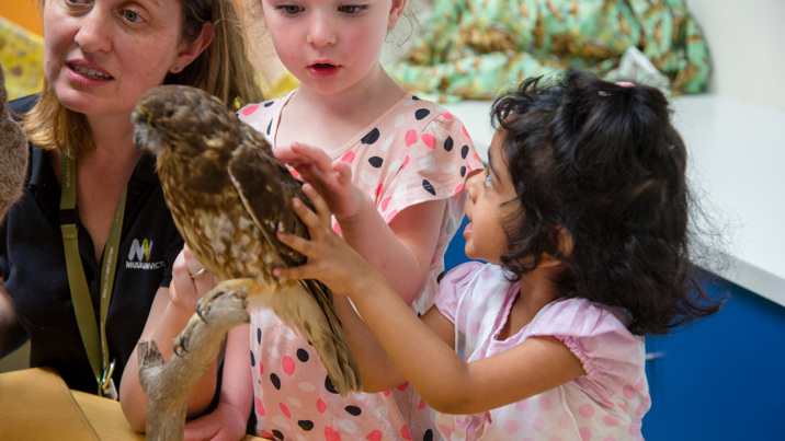 Two kindergarten children looking at an owl specimen during a visit by the Museums Victoria outreach team.