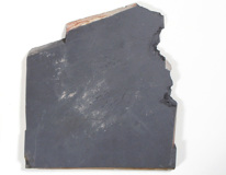 Slate specimen