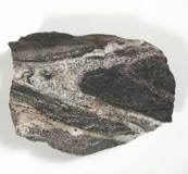 Migmatite specimen