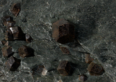 Detail of an almandine-chlorite schist specimen