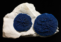 Azurite mineral specimen