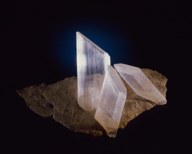 Gypsum crystals specimen