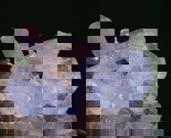 Fluorapophyllite specimen