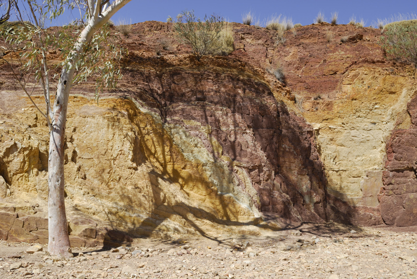 An exposed rock face