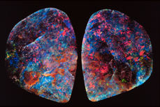 Opal, split pair, specimen