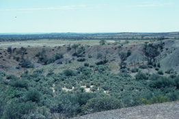 A crater, overgrown by scrub.