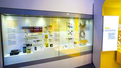 showcase with yellow trim