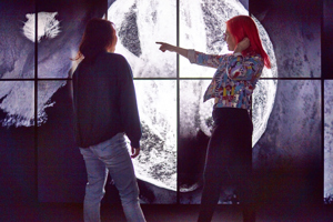 The Beyond Perception exhibition at Scienceworks.