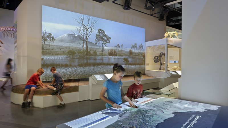 Children in the 600 Million Years exhibition.