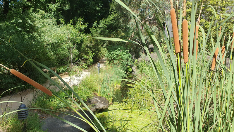 Milarri Garden Trail