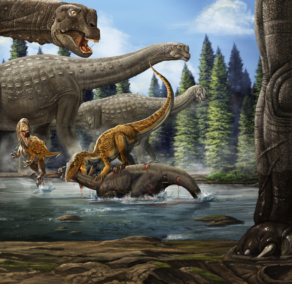 An infant long-necked dinosaur is attacked by a two-legged dinosaur. 