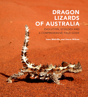 Dragon Lizards of Australia book cover