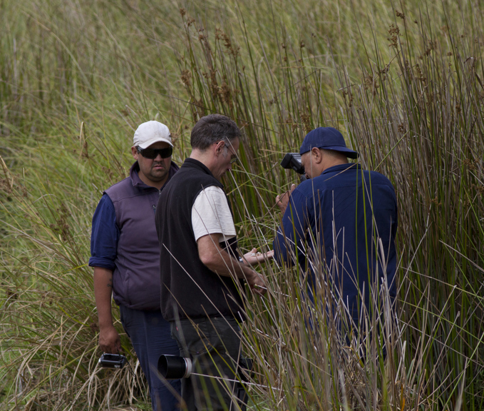 Museum staff in the field: Lake Condah Survey.