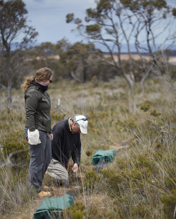 Ricky-Lee Erickson and Andrew O'Grady checking Pitfall and Funnel Traps. Location: Australia, Victoria, Great Otway National Park, Anglesea, Anglesea Heath, Bald Hills Rd. Survey: Otways Bioscan OTB 2018 022