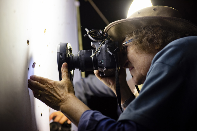 Marilyn Hewish photographing a moth at light trap. Location: Australia, Victoria, Great Otway National Park, Lorne, Sheoak Picnic Area. Survey: Otways Bioscan OTB 2018 202