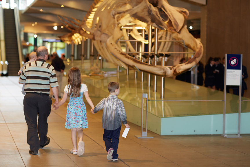 Family walking through the museum past blue whale