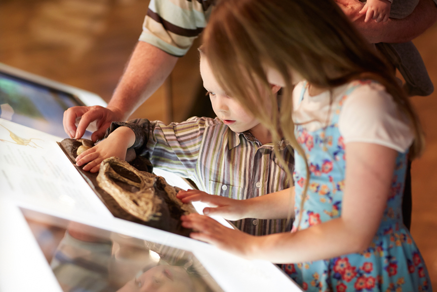 Girl and boy looking at a dinosaur display at the museum
