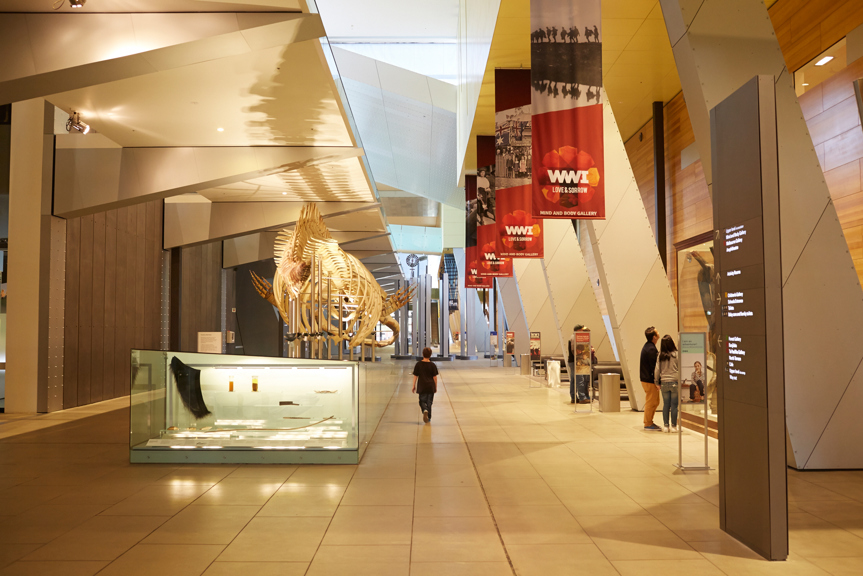 Big gallery at the museum with a whale skeleton and lots of banners