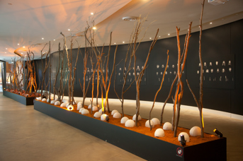 Ritual and Ceremony exhibition in Birrarung Gallery