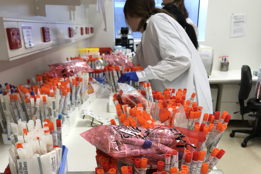 Medical researchers and equipment