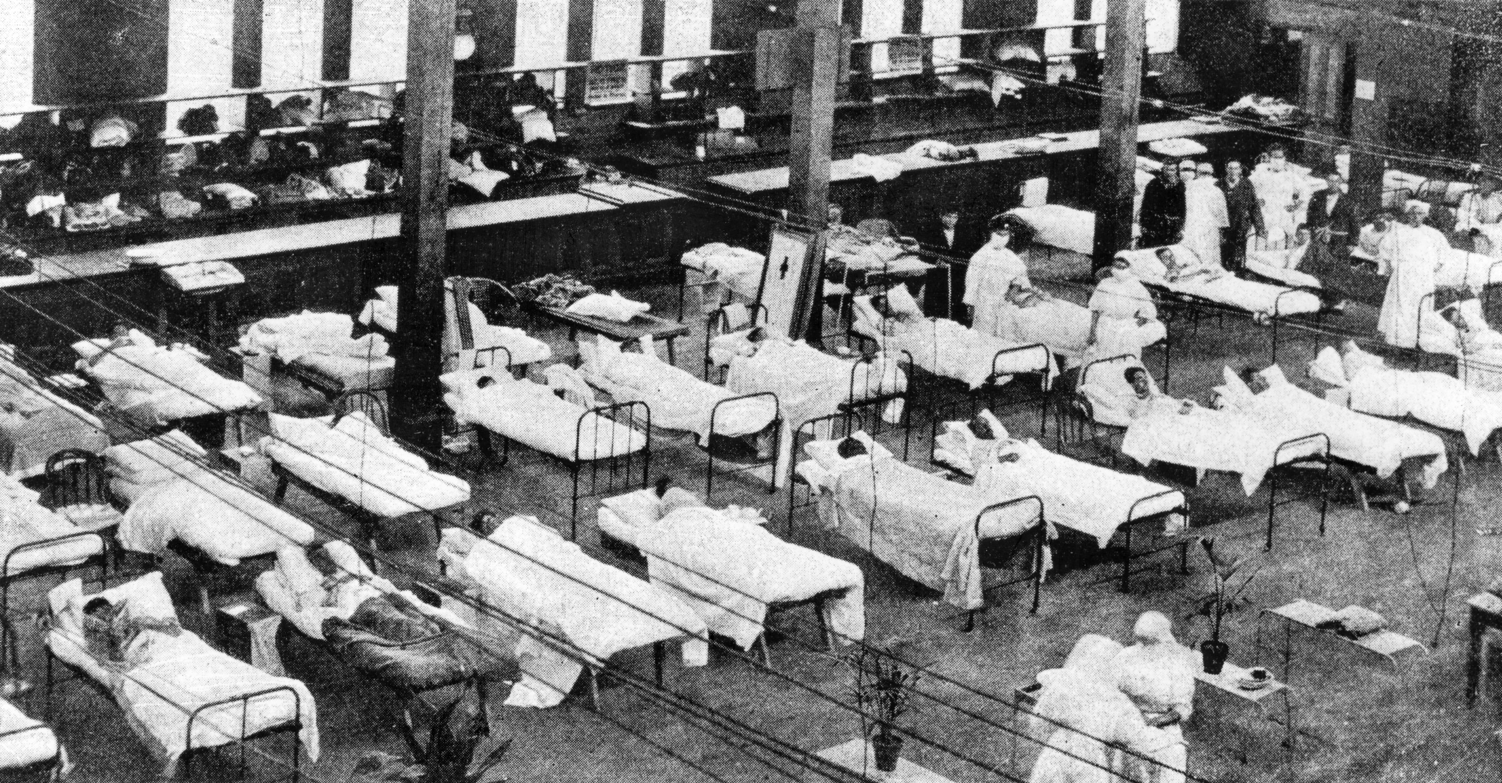 hospital beds in rows