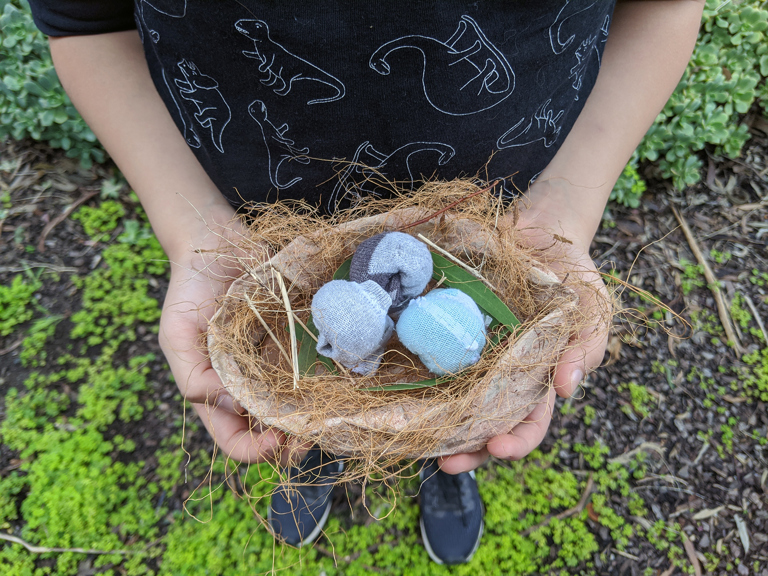 Build Your Own Dinosaur Nest 