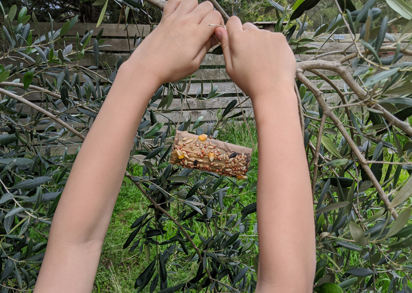 Make Your Own Bird Feeder