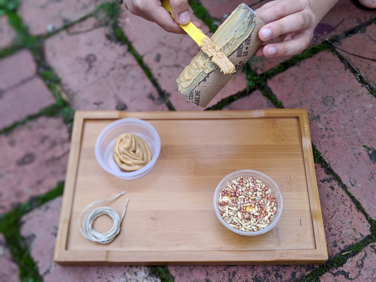 Make Your Own Bird Feeder