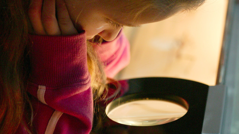 Girl looking at insect through viewer