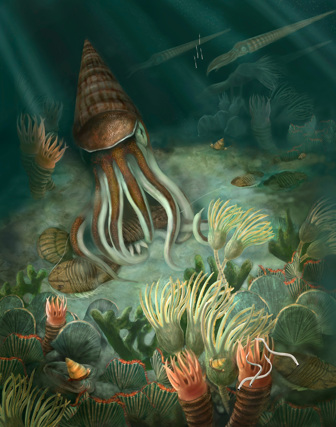 Illustration of Ordovician marine environment including trilobites, baccalites, crinoids, molluscs