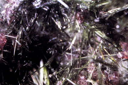 Actinolite mineral from Dookie Mineralogical Reserve quarry