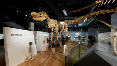 View of Dinosaur Walk exhibition