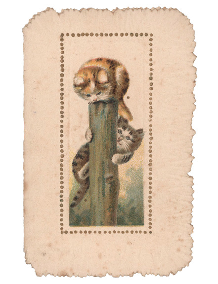Card with an illustration of two cats on a post