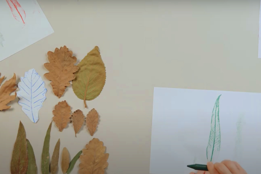 Leaves on a table top