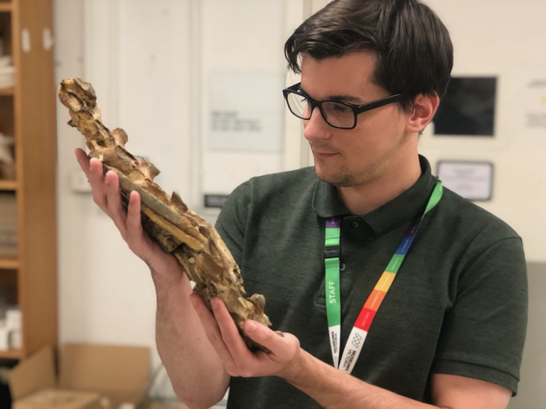A young man holds a fossil.