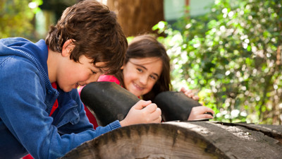 Children looking at interactive display in Forest Gallery 