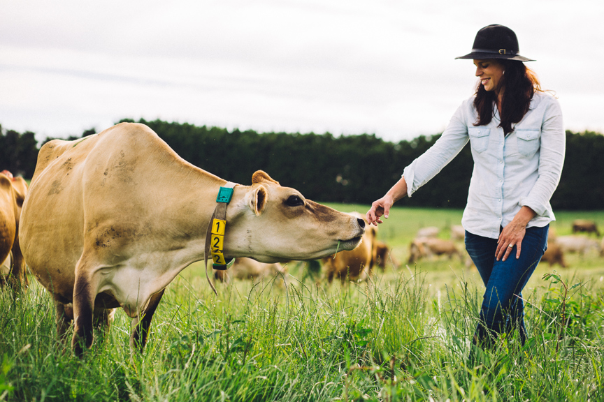 A farmer and a cow in a paddock. 