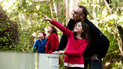 Visitors looking at plants in Forest Gallery 